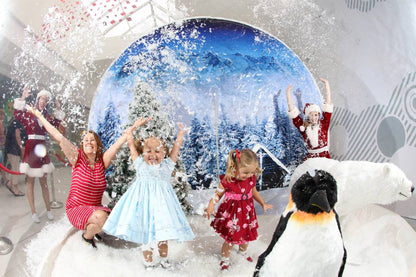 Inflatable Snow Globe 10ft Christmas Decoration Transparent Bubble Tent with Printed Background, Blower and Pump, Repair kit